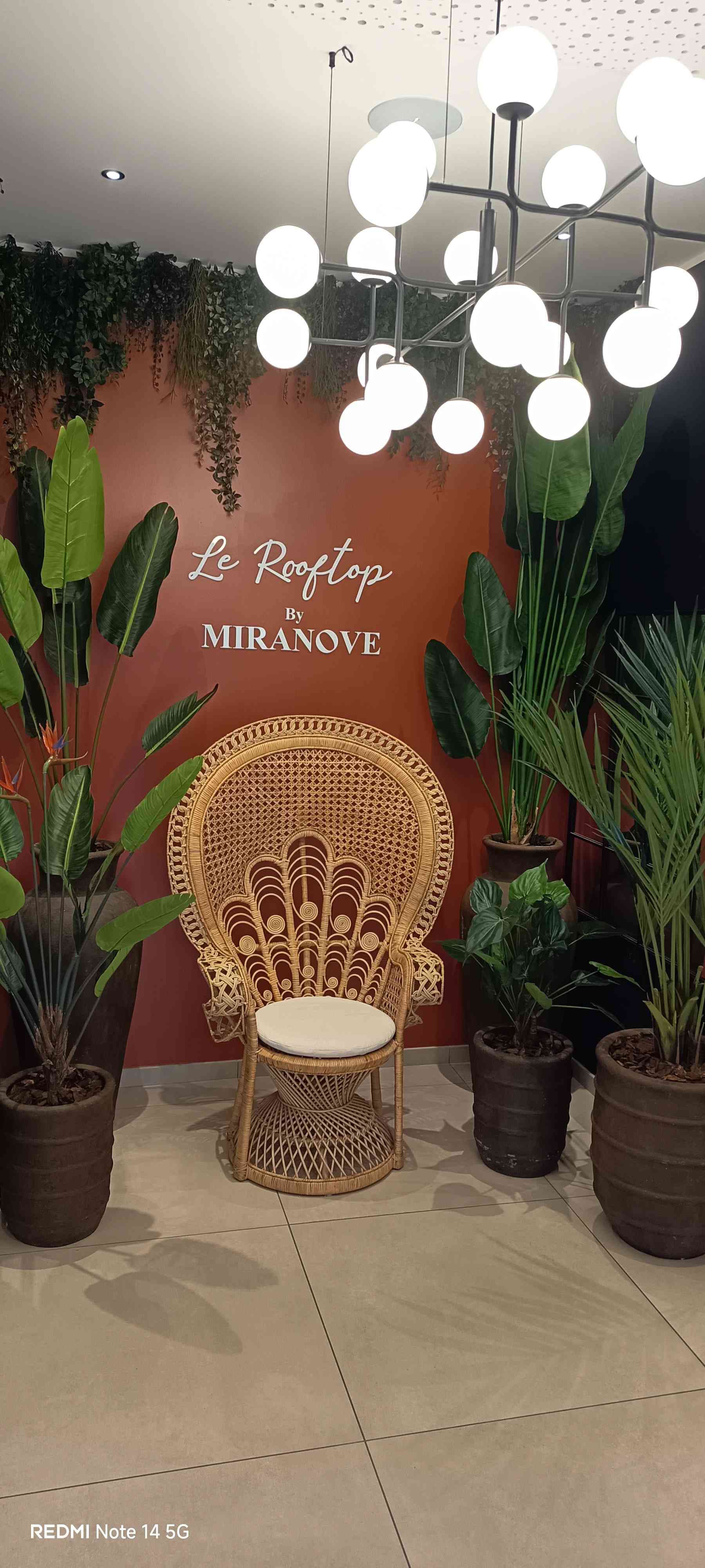 Plumeria Artisan du Paysage