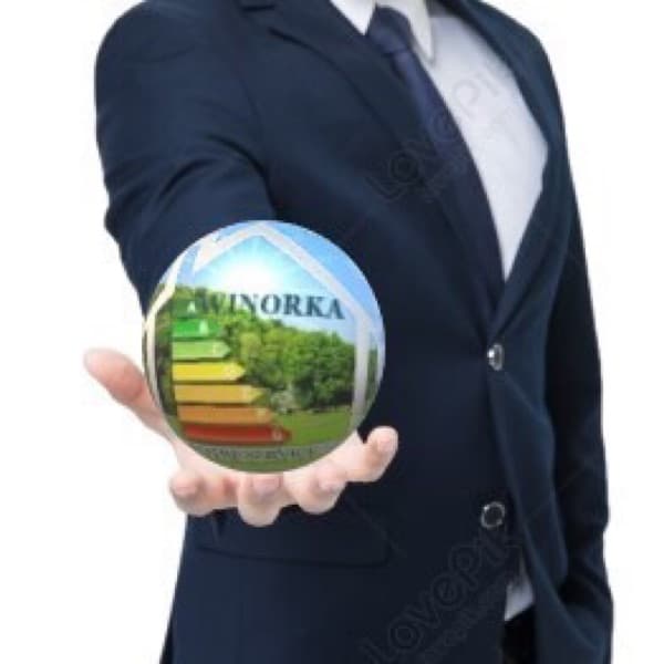WINORKA avatar