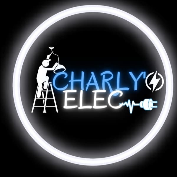 charly's elec avatar