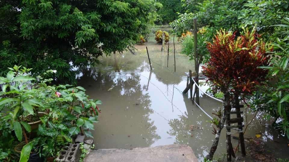 Mon terrain est inondé : solutions de drainage efficaces