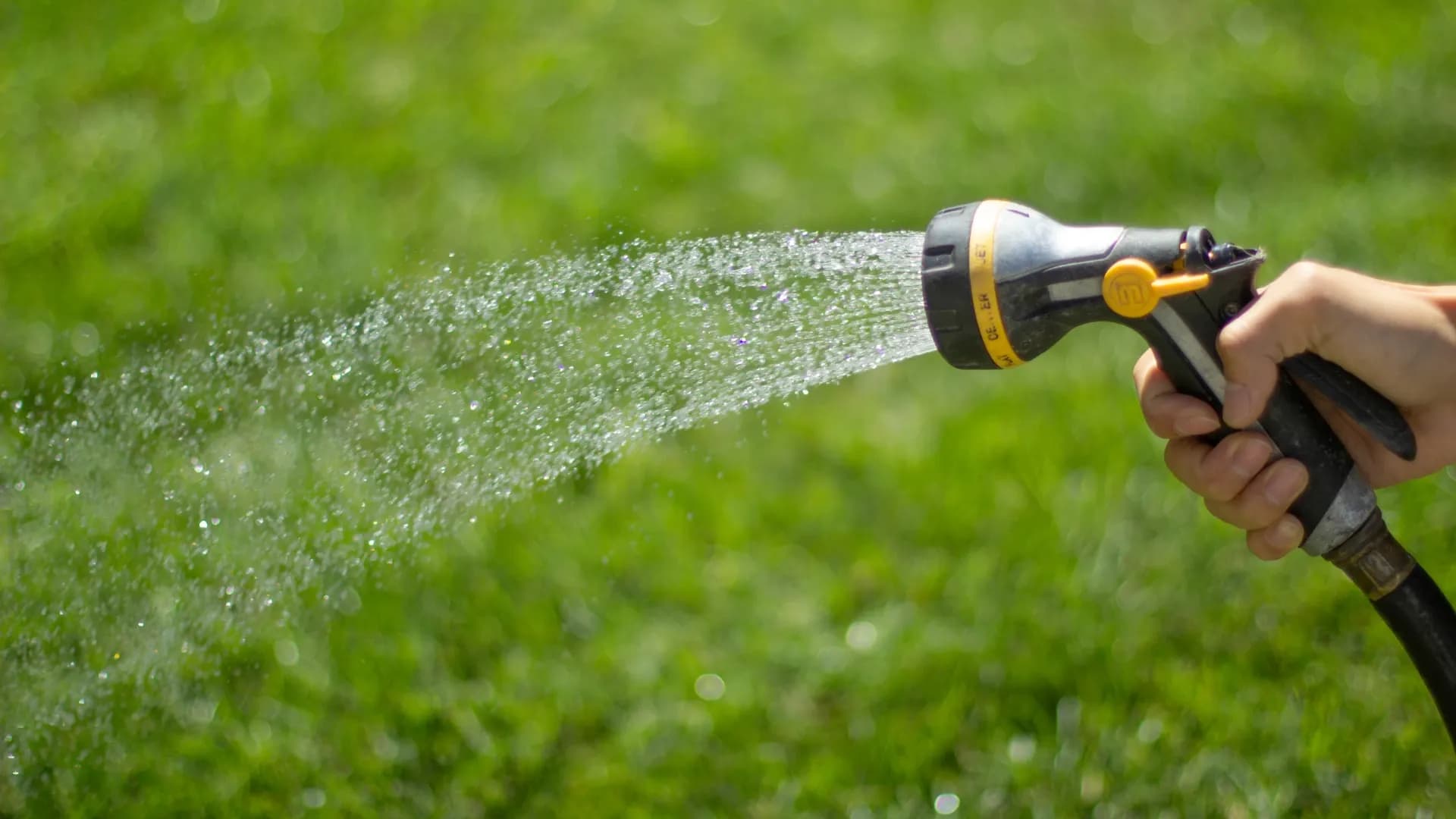Quand faut-il arroser son jardin ?