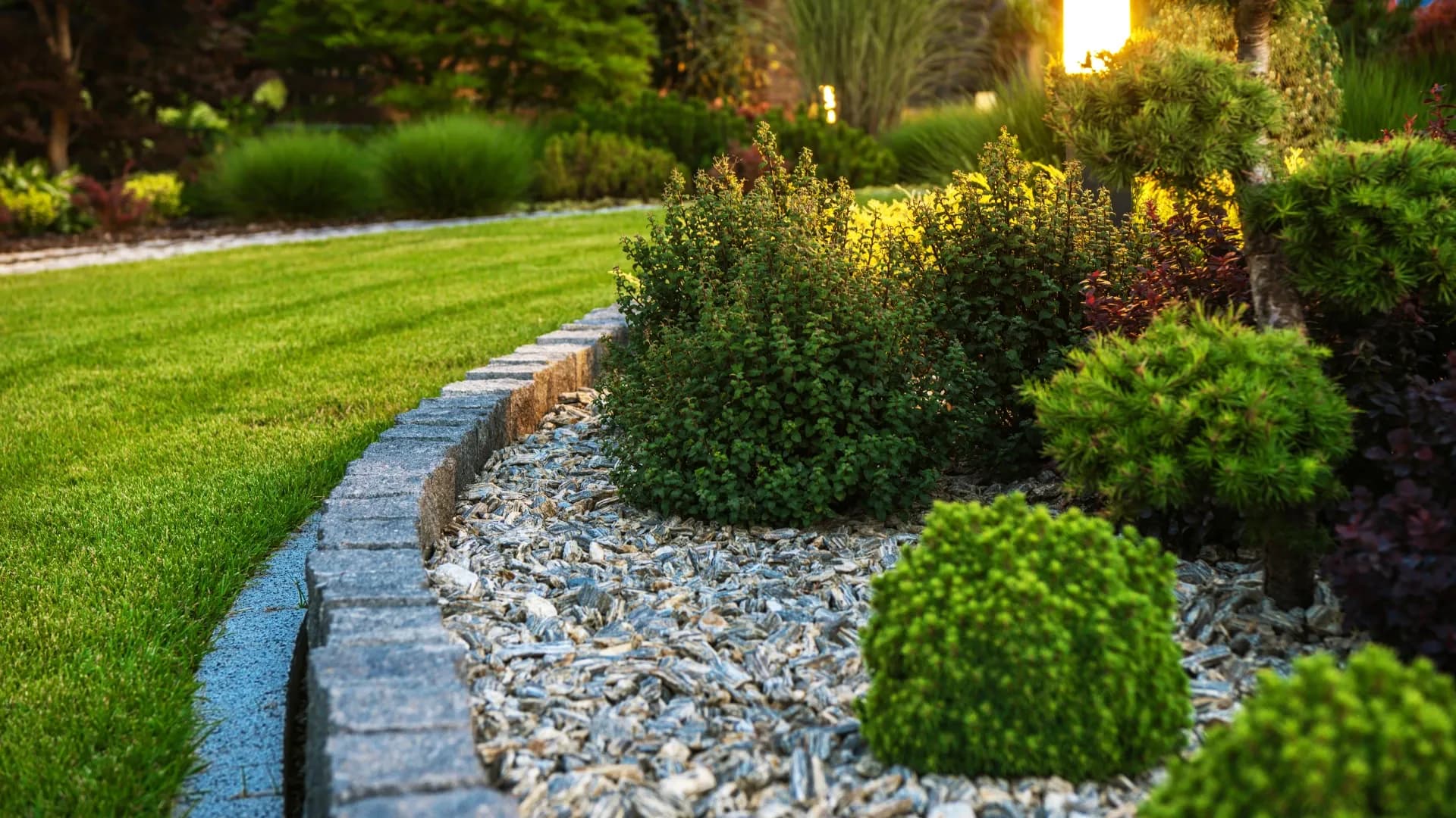 Quels sont les meilleurs conseils pour avoir un beau jardin ?