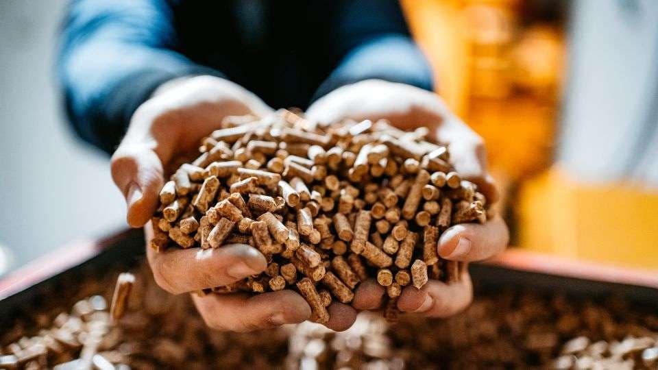 Bien choisir ses granulés : labels, stockage, erreurs à éviter