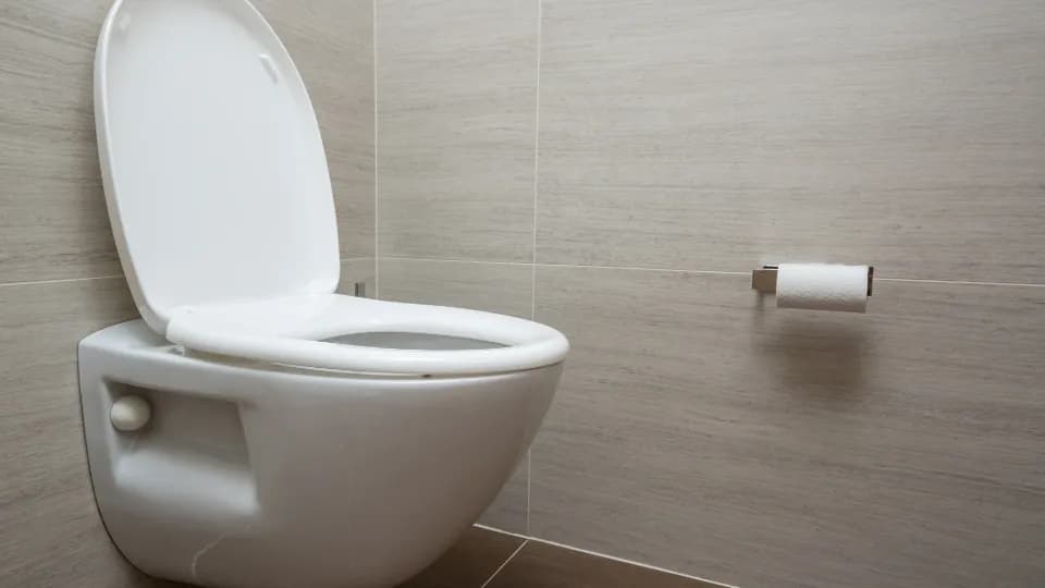 Ce qu’il ne faut jamais jeter dans les toilettes
