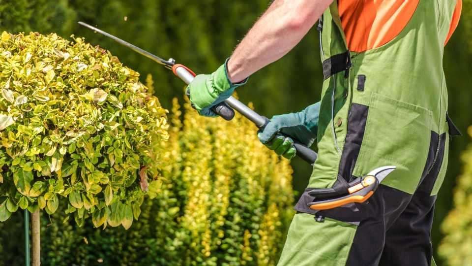 Combien coûte l’entretien d’un jardin à l’année ?