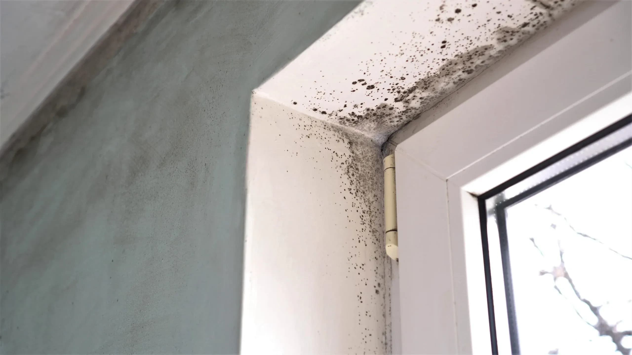 Prévenir les problèmes d’humidité et moisissures en cave
