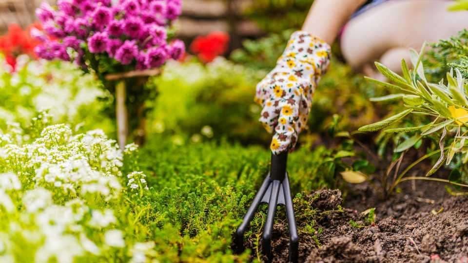 Que faire dans son jardin au printemps ?