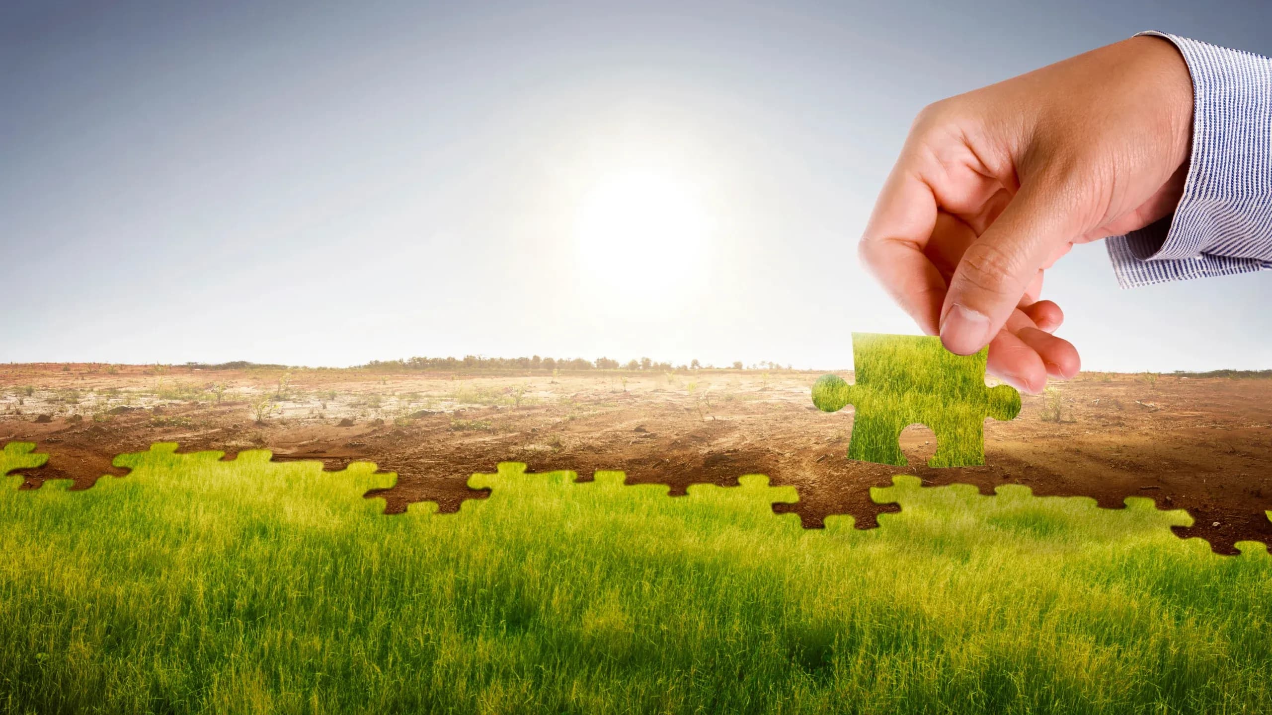 Quelles plantes choisir selon le climat et le type de sol ?