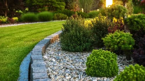 Quels sont les meilleurs conseils pour avoir un beau jardin ?