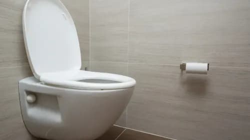 Ce qu’il ne faut jamais jeter dans les toilettes