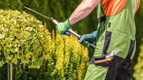 Combien coûte l’entretien d’un jardin à l’année ?