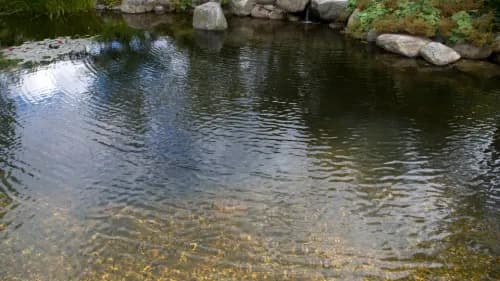 Comment faire une piscine naturelle ?