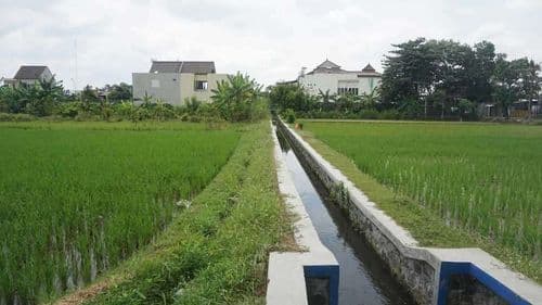 Drainage terrain : est-ce accessible sans professionnel ?