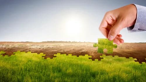 Quelles plantes choisir selon le climat et le type de sol ?
