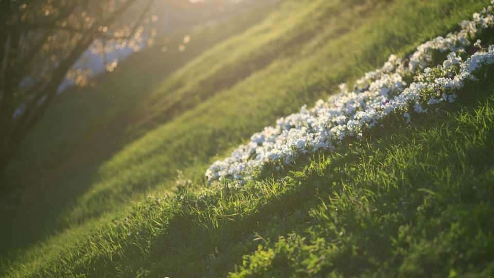 Aménager un jardin en pente : solutions efficaces
