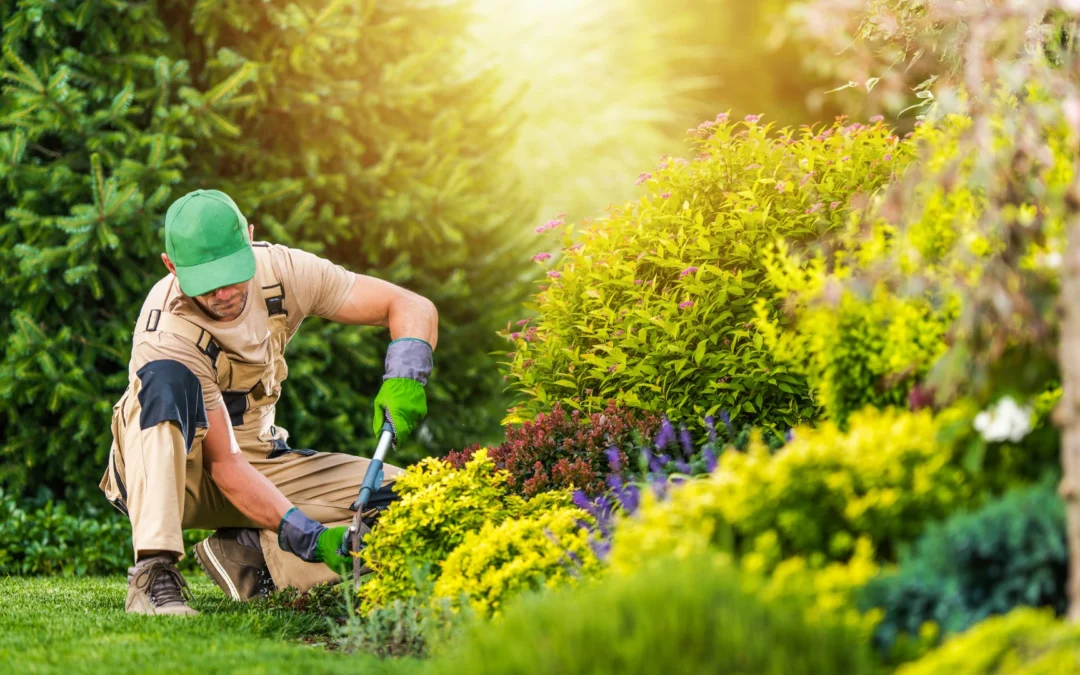Comment entretenir un jardin ?
