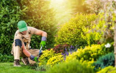 Comment entretenir un jardin ?