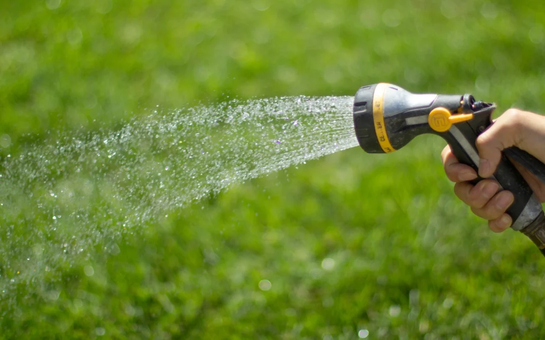 Quand faut-il arroser son jardin ?