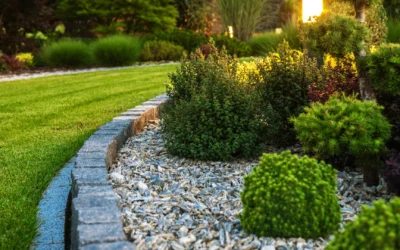 Quels sont les meilleurs conseils pour avoir un beau jardin ?