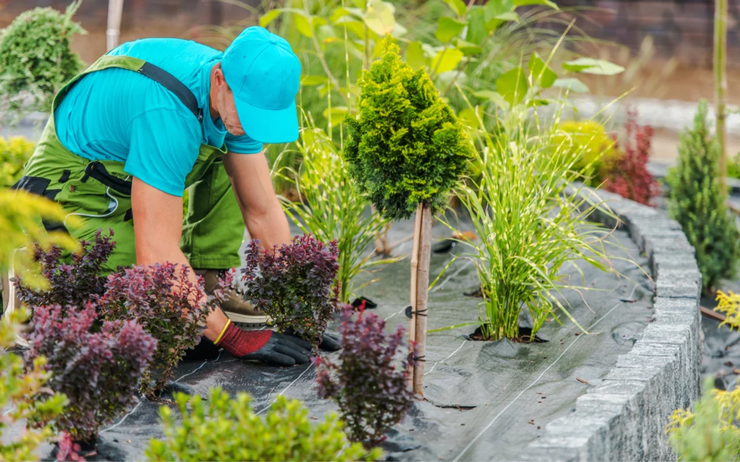 Quelles plantes choisir pour un jardin facile d’entretien ?