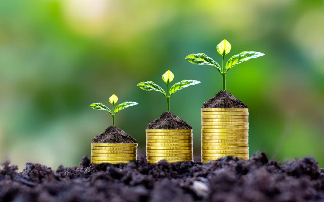 Quelles aides financières pour vos travaux d’assainissement ?