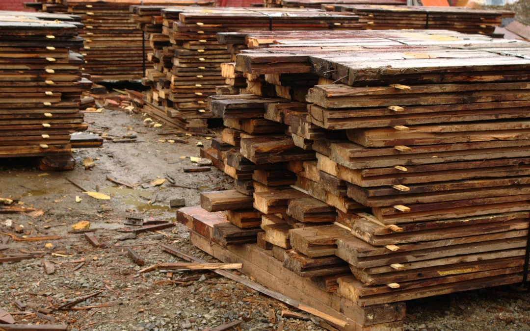 Comment trouver et préparer du bois de récupération