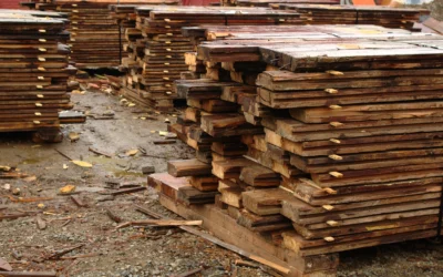 Comment trouver et préparer du bois de récupération