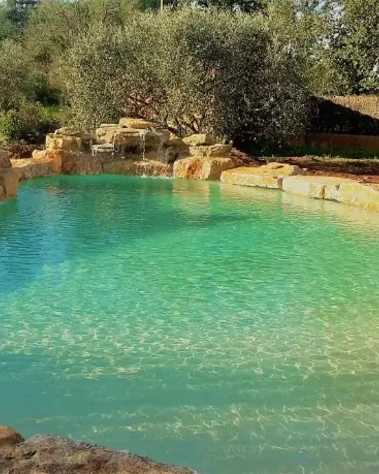 creation-piscine-naturelle creation-piscine-naturelle