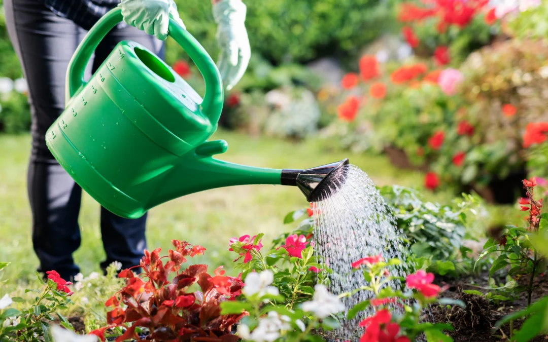 Économiser l’eau tout en arrosant son jardin