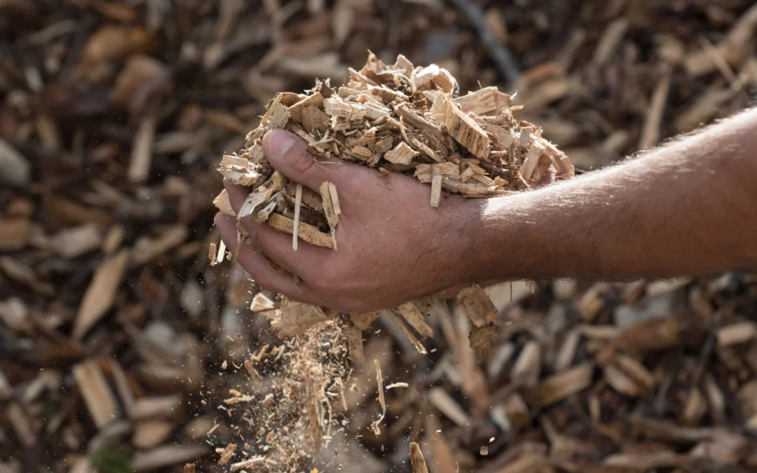 Menuiserie éco-responsable : les bons gestes