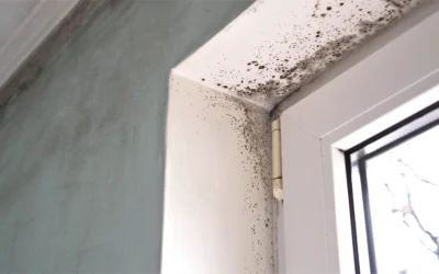 Prévenir les problèmes d’humidité et moisissures en cave