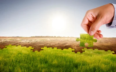 Quelles plantes choisir selon le climat et le type de sol ?