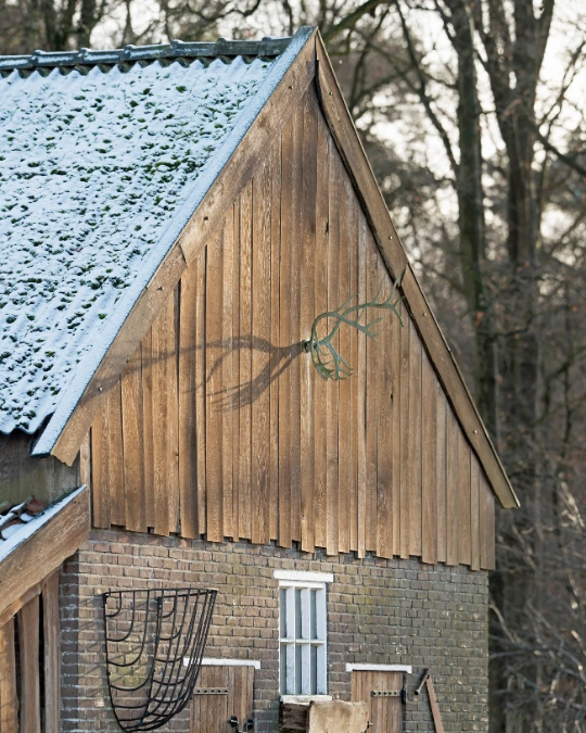 traitement-du-bois traitement-du-bois