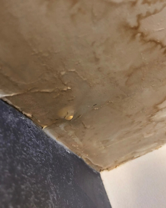 Trouvez rapidement un plombier certifié pour vos dégâts des eaux. Dépannage express, service 100 % gratuit avec kelkun