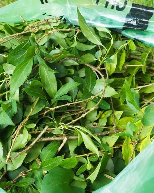 Trouvez un paysagiste pour l'évacuation de vos déchets verts. Dépannage express, travaux, entretiens... service 100 % gratuit avec kelkun