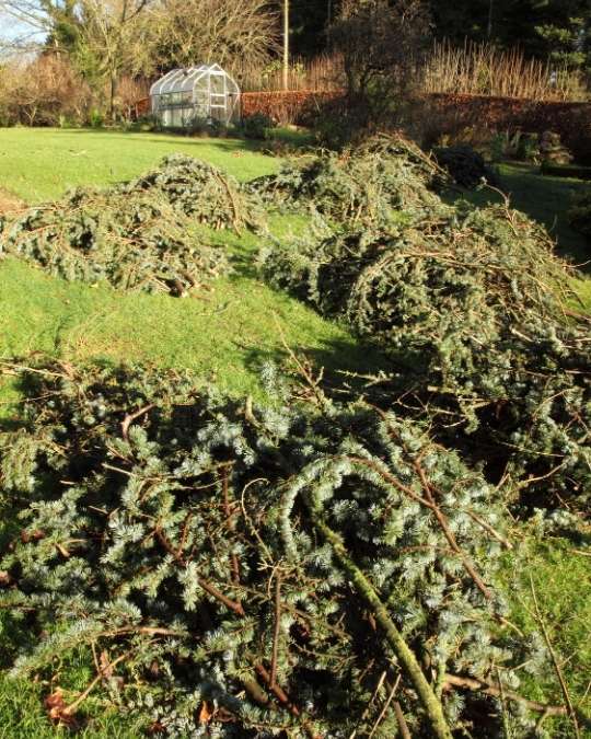 Trouvez rapidement un paysagiste pour l'enlèvement de vos déchets verts. Dépannage express, travaux, entretiens... service 100 % gratuit avec kelkun