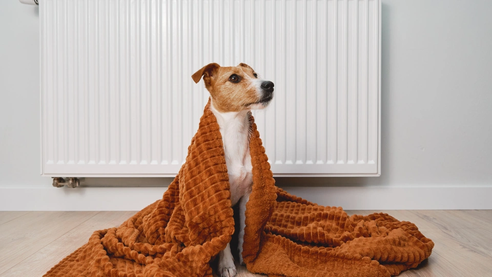 Désembouage : quand, pourquoi, et comment savoir si c’est le moment