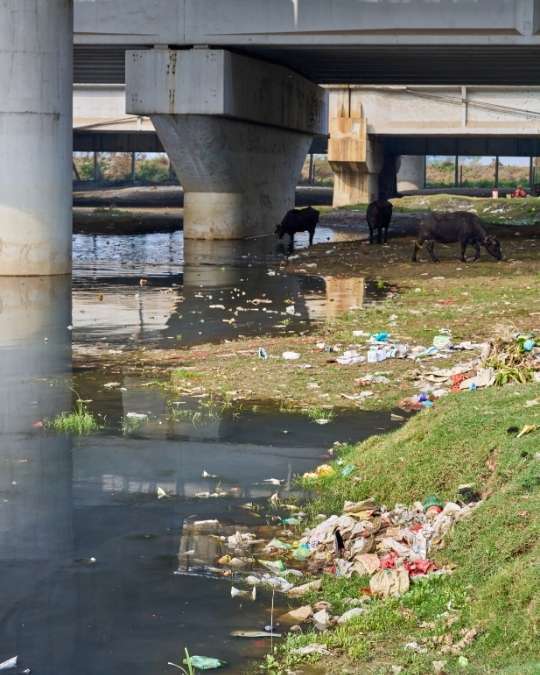 Trouvez rapidement un assainisseur certifié pour désinfecter après sinistre ou pollution. Dépannage express, travaux, entretiens... service 100 % gratuit avec kelkun