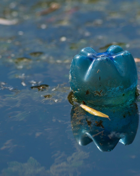 Trouvez un assainisseur certifié pour désinfecter après sinistre ou pollution. Dépannage express, travaux, entretiens... service 100 % gratuit avec kelkun