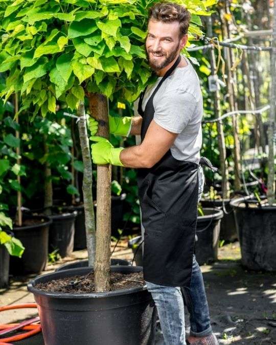 Trouvez un paysagiste certifié près de chez vous pour vos espaces verts. Dépannage express, travaux, entretiens... service 100 % gratuit avec kelkun