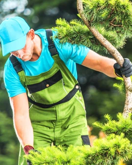 Trouvez un paysagiste certifié pour votre jardin. Dépannage express, travaux, entretiens... service 100 % gratuit avec kelkun