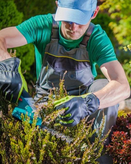 Trouvez un paysagiste près de chez vous pour votre jardin. Dépannage express, travaux, entretiens... service 100 % gratuit avec kelkun