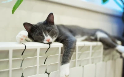 Purger un radiateur sans inonder la pièce : pas-à-pas illustré