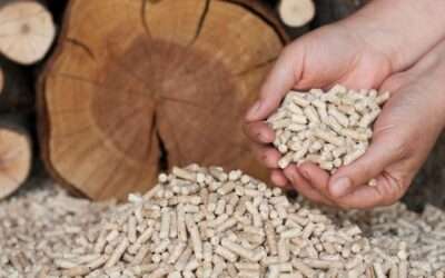 Quand acheter ses pellets pour payer moins cher