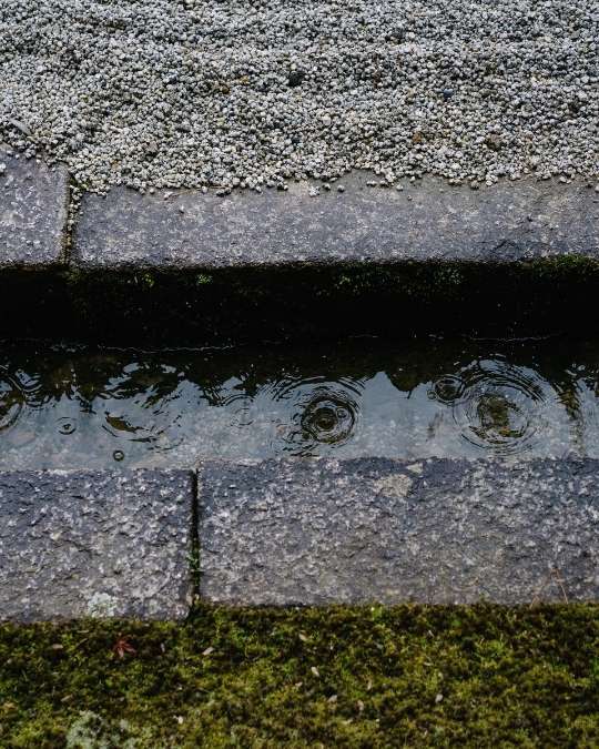 Trouvez un assainisseur certifié et disponible pour vos réseaux d'évacuation. Dépannage express, travaux, entretiens... service 100 % gratuit avec kelkun