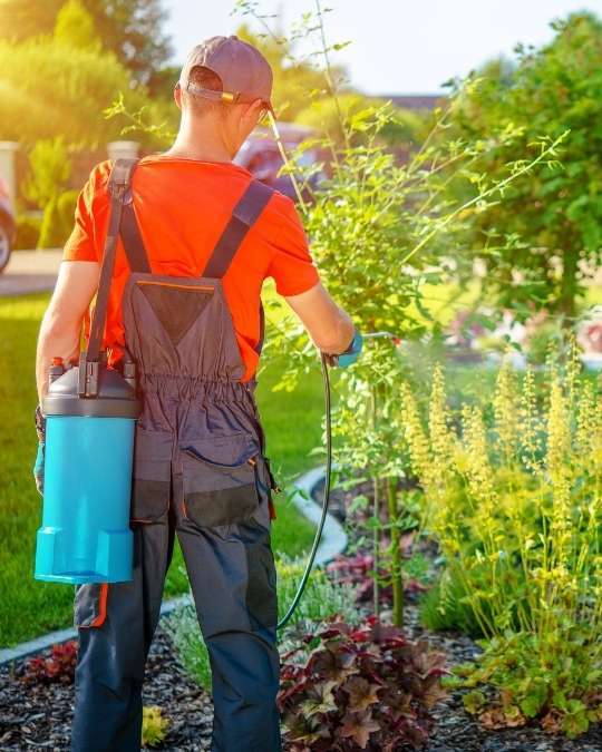 Trouvez un paysagiste pour le traitement phytosanitaire. Dépannage express, travaux, entretiens... service 100 % gratuit avec kelkun