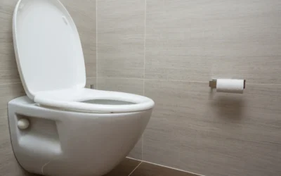 Ce qu’il ne faut jamais jeter dans les toilettes