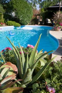Confiez la conception de votre jardin autour d’une piscine à un paysagiste concepteur via Kelkun