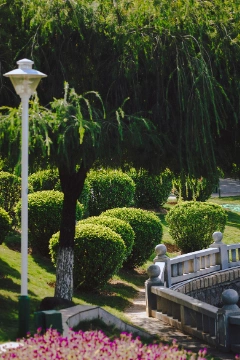 Un paysagiste concepteur imagine votre jardin thématique sur mesure : contemporain, méditerranéen, jardin sec ou naturel