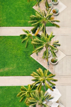 Une étude paysagère pour maison neuve vous aide à structurer votre jardin dès le départ. Publiez votre demande sur Kelkun